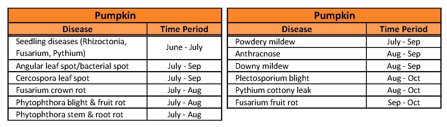 Timeline of common and important diseases occurring on field-grown pumpkin crops