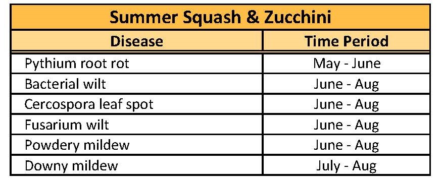 Timeline of common and important diseases occurring on summer squash and zucchini crops in field production.